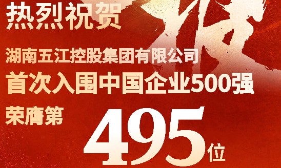 喜報！集團首次躋身中國企業(yè)500強
